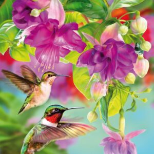 Puzzel - Hummingbirds