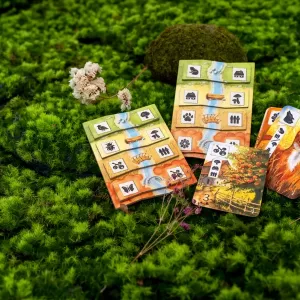Meadow: Adventure Book