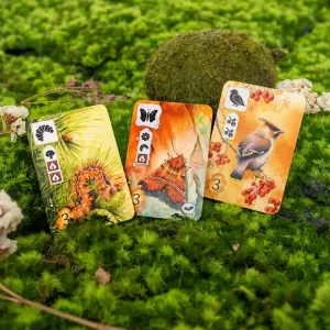 Meadow: Adventure Book