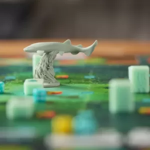 Kelp: Shark vs Octopus