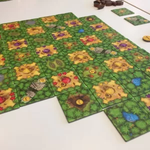 Cacao