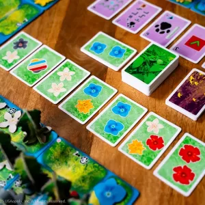 Hutan: Life in the Rainforest