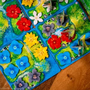 Hutan: Life in the Rainforest