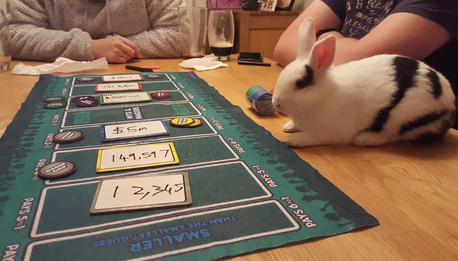 Wits & Wagers - Deluxe Edition