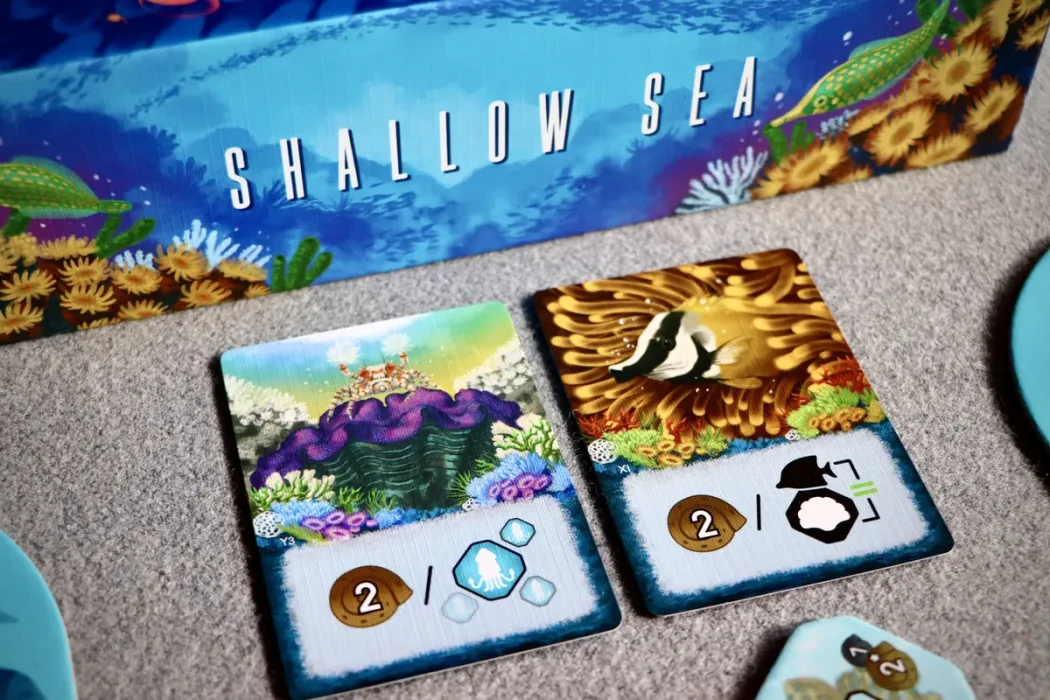 Shallow Sea