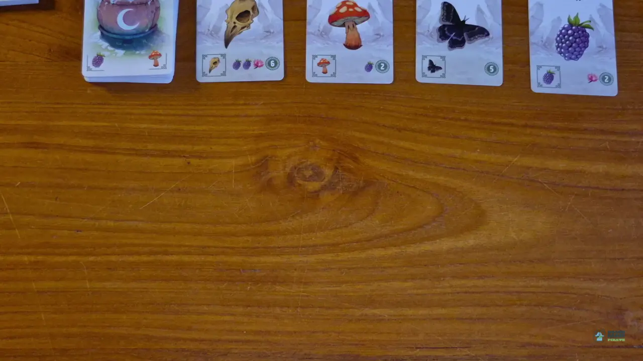 Carnuta - Player Setup