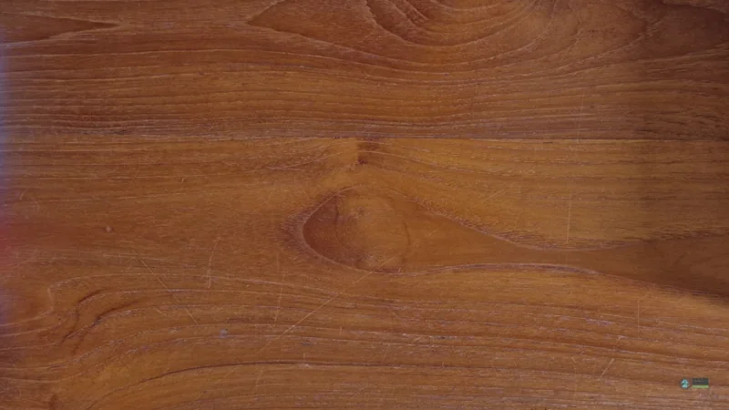 Cup The Crab - Setup