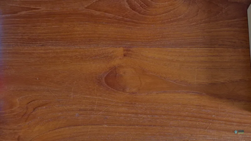 Cup The Crab - Cup Range