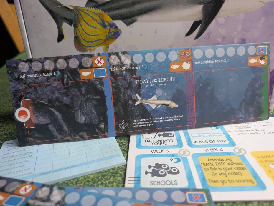 Finspan: Sharks & Reefs