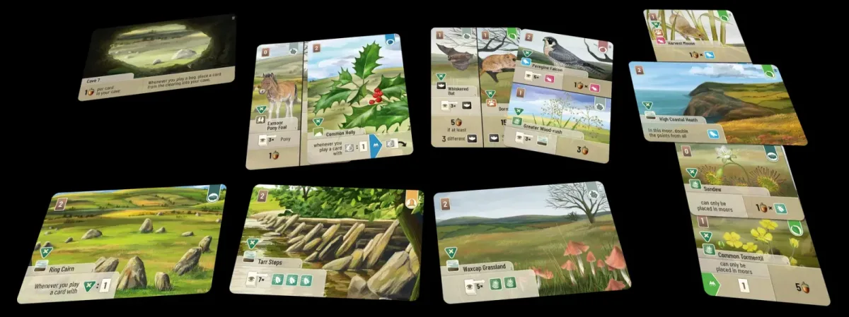 Forest Shuffle: Dartmoor - Exmoor ENG