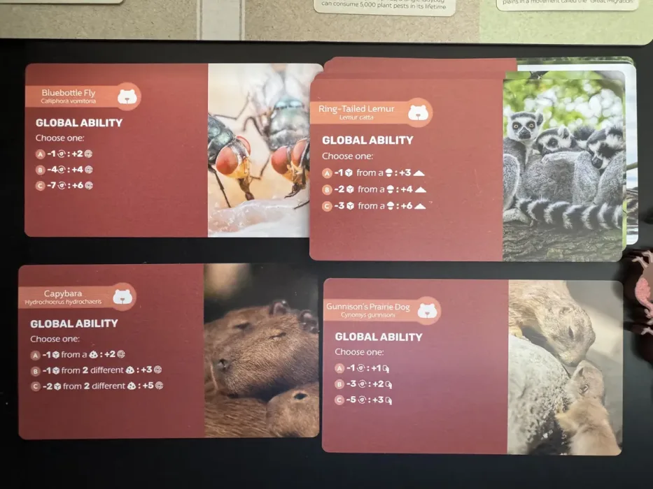 Earth: Animal Kingdom
