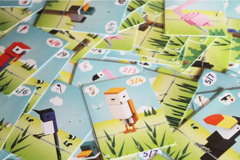 CuBirds