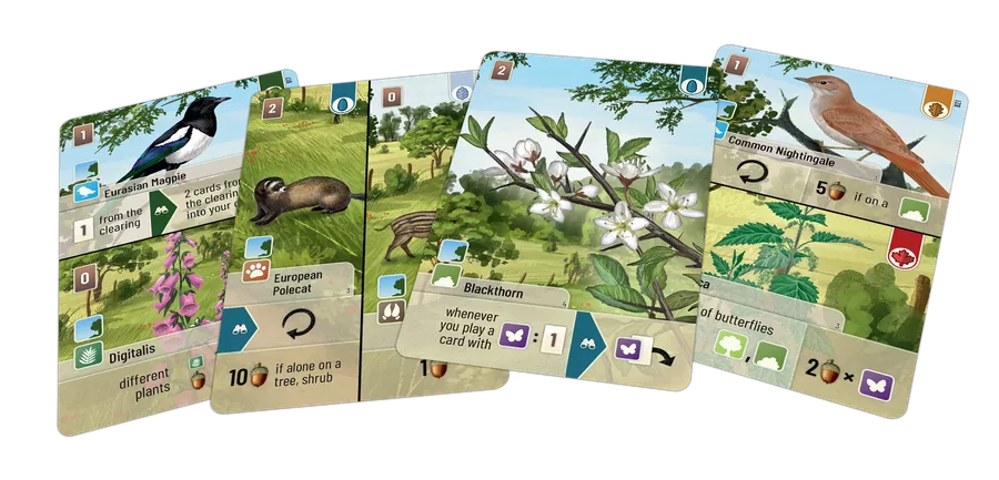 Forest Shuffle: Woodland Edge ENG