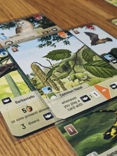 Forest Shuffle: Woodland Edge ENG