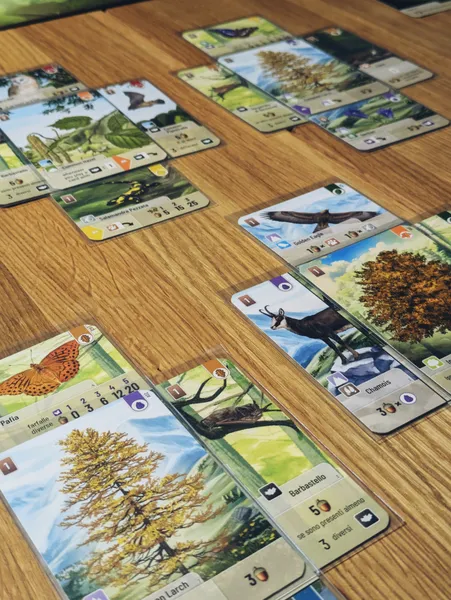 Forest Shuffle: Woodland Edge ENG