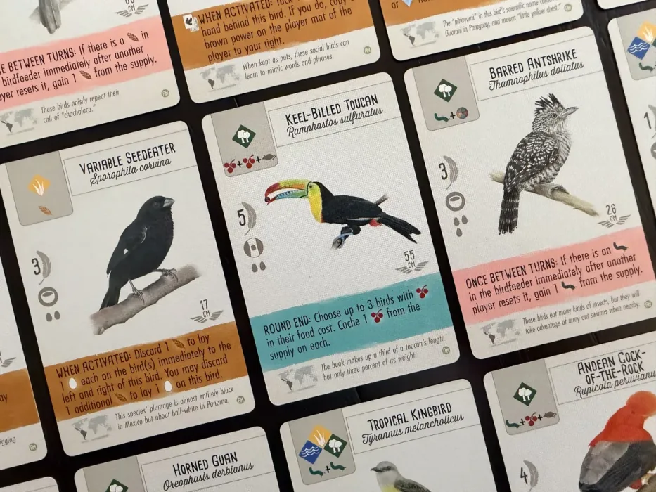 Wingspan: Americas Expansion