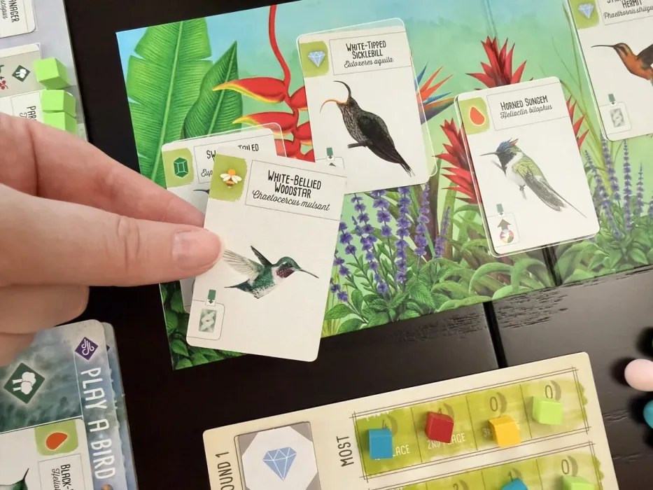 Wingspan: Americas Expansion